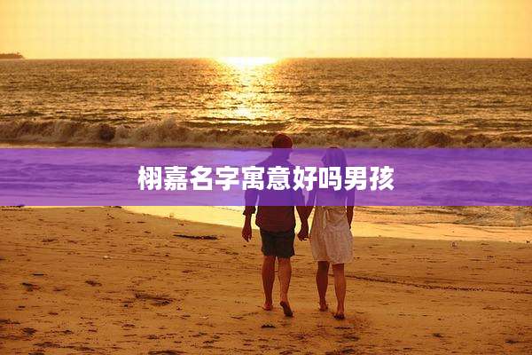 栩嘉名字寓意好吗男孩