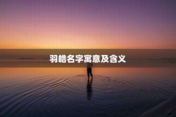 羽皓名字寓意及含义