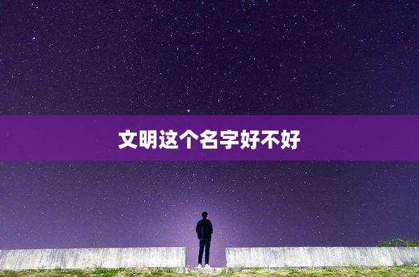文明这个名字好不好