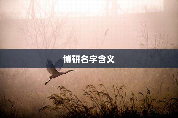 博研名字含义