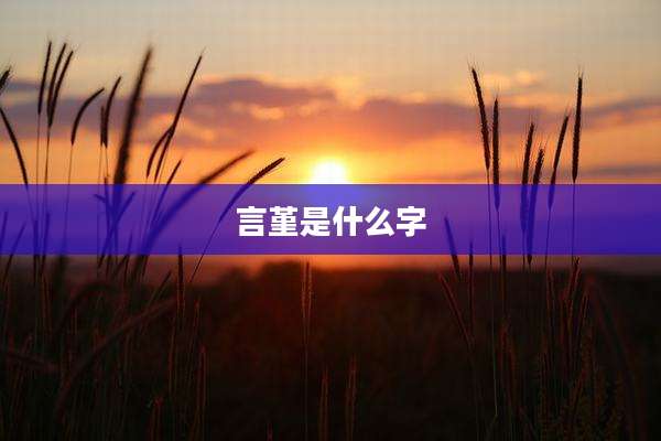言堇是什么字