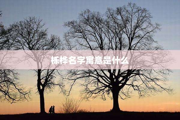 栎桦名字寓意是什么