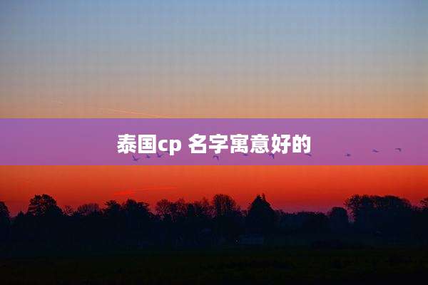 泰国cp 名字寓意好的
