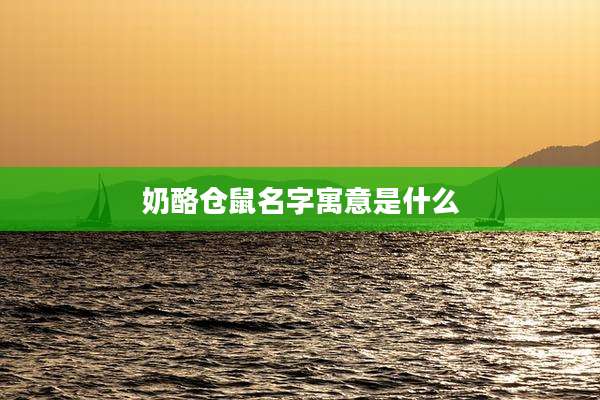 奶酪仓鼠名字寓意是什么