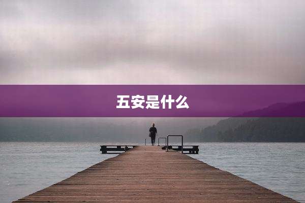 五安是什么