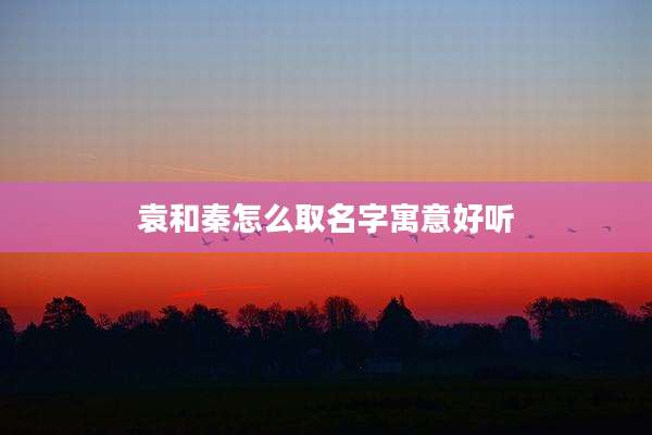 袁和秦怎么取名字寓意好听