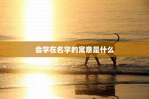 会字在名字的寓意是什么