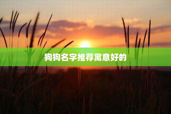 狗狗名字推荐寓意好的