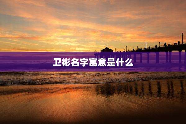 卫彬名字寓意是什么