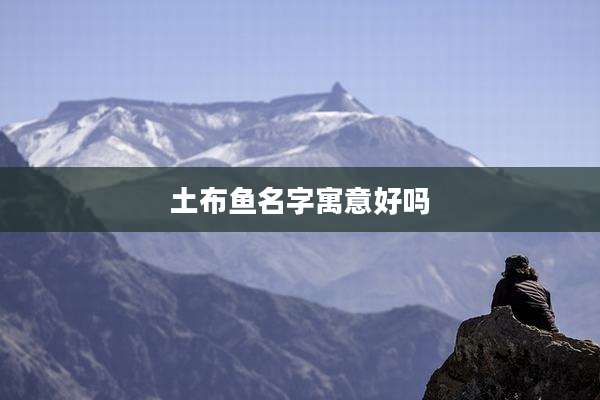 土布鱼名字寓意好吗
