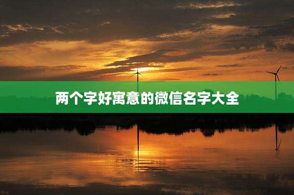 两个字好寓意的微信名字大全