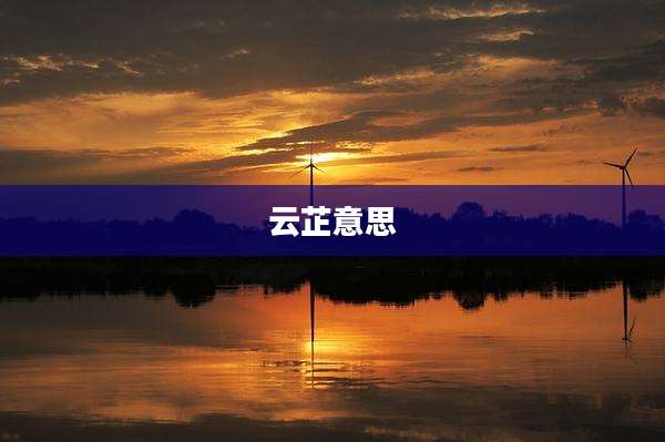 云芷意思