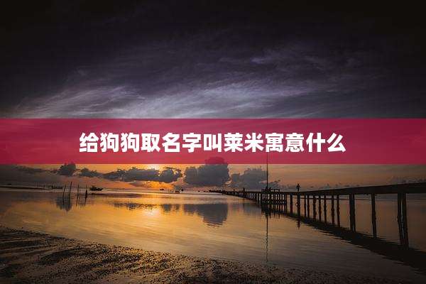 给狗狗取名字叫莱米寓意什么