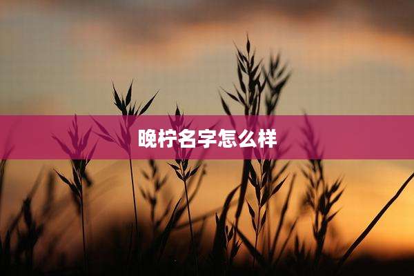 晚柠名字怎么样