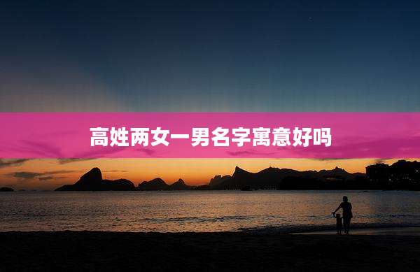 高姓两女一男名字寓意好吗
