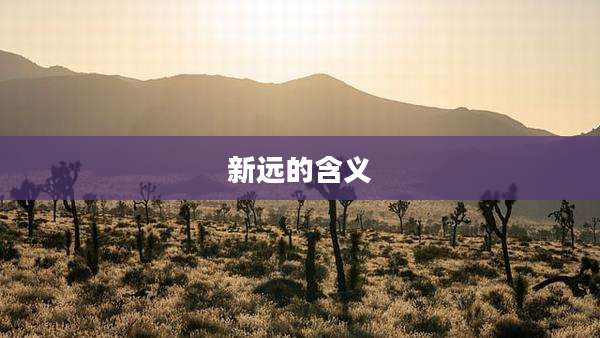 新远的含义