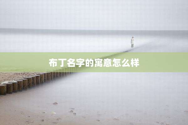 布丁名字的寓意怎么样