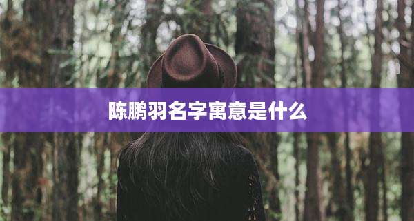 陈鹏羽名字寓意是什么