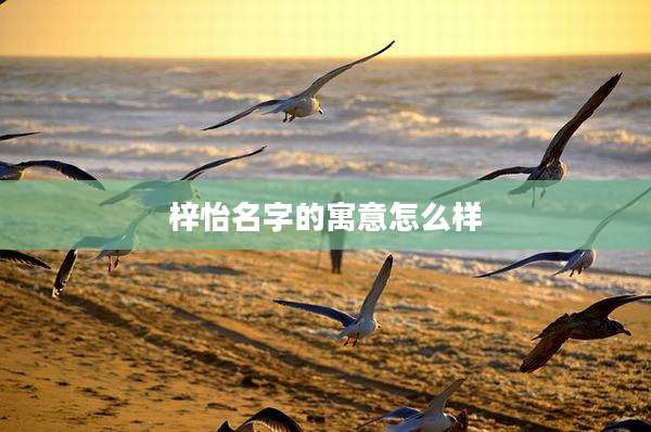 梓怡名字的寓意怎么样