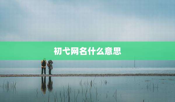初弋网名什么意思