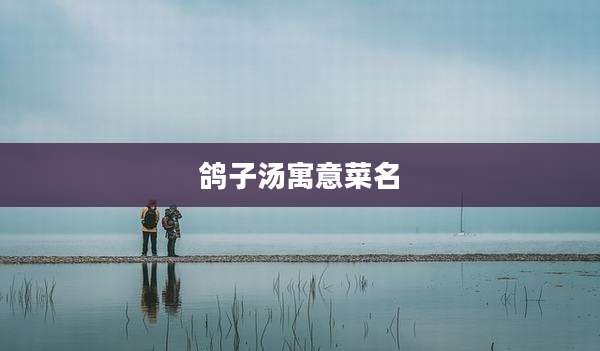 鸽子汤寓意菜名