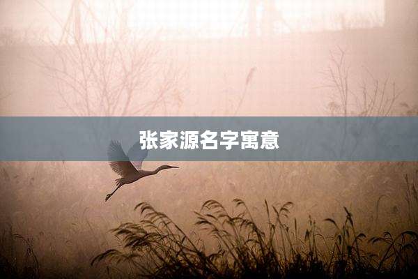 张家源名字寓意