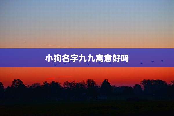 小狗名字九九寓意好吗