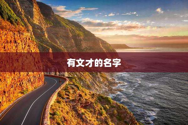 有文才的名字
