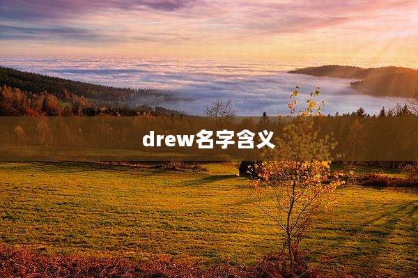 drew名字含义