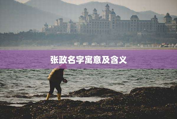 张政名字寓意及含义
