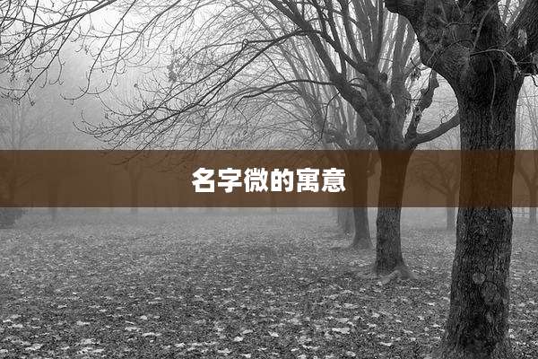名字微的寓意