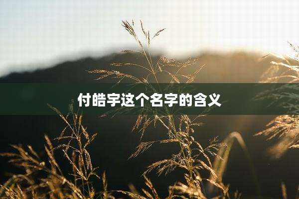 付皓宇这个名字的含义