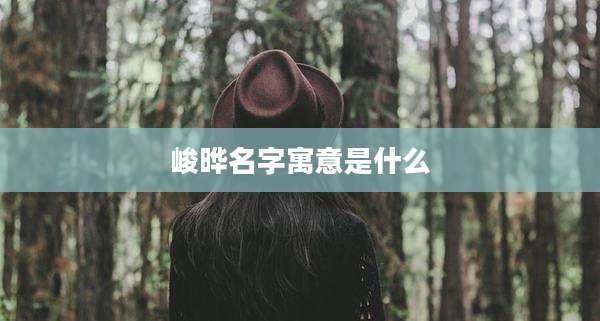 峻晔名字寓意是什么