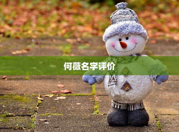 何薇名字评价