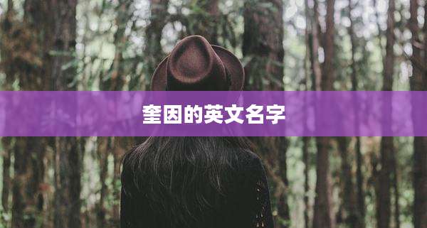 奎因的英文名字