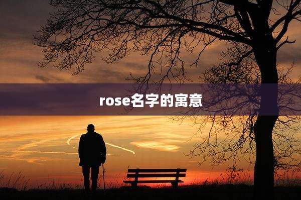 rose名字的寓意