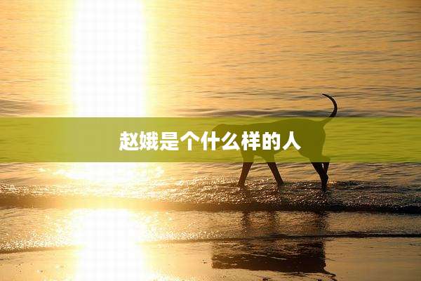 赵娥是个什么样的人