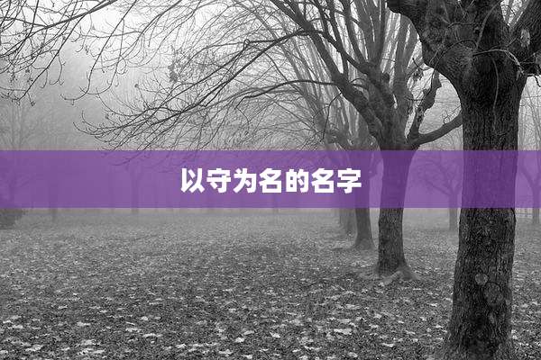 以守为名的名字