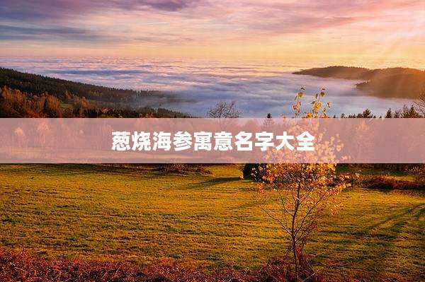 葱烧海参寓意名字大全