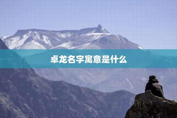 卓龙名字寓意是什么