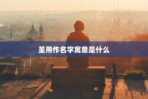 堇用作名字寓意是什么