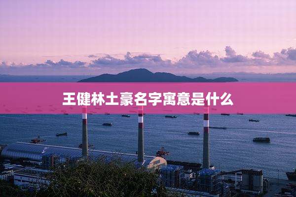 王健林土豪名字寓意是什么