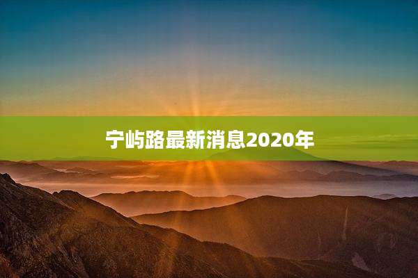 宁屿路最新消息2020年