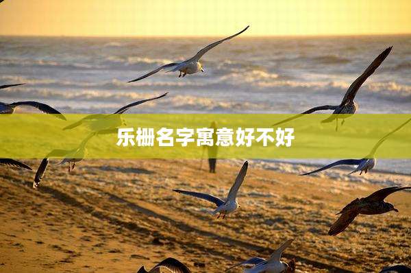 乐栅名字寓意好不好