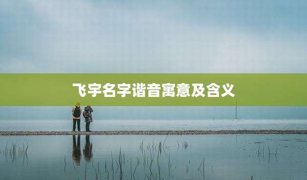 飞宇名字谐音寓意及含义