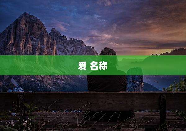 爱 名称