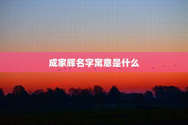 成家辉名字寓意是什么