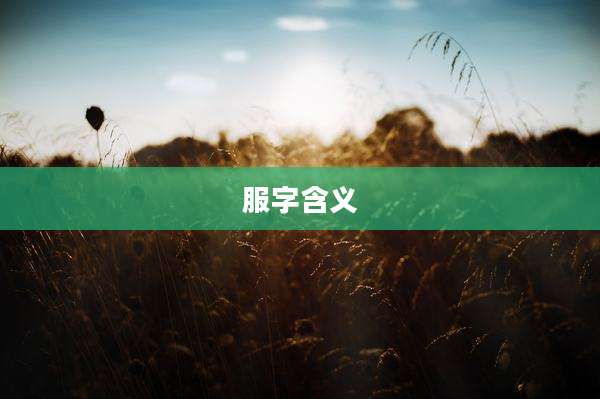 服字含义