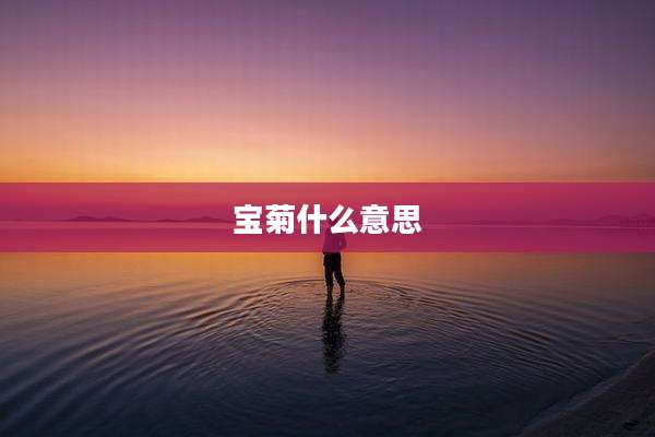 宝菊什么意思