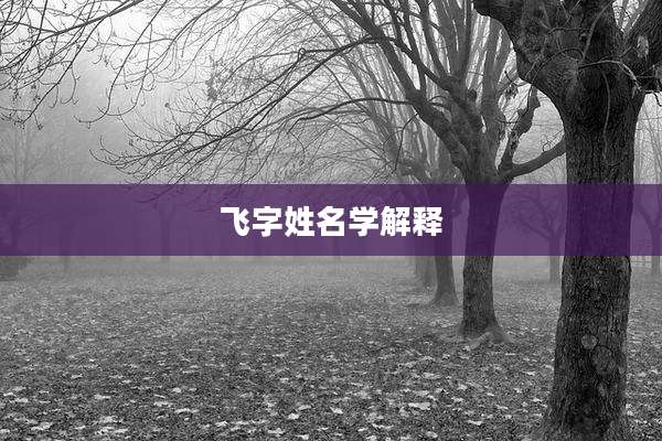 飞字姓名学解释